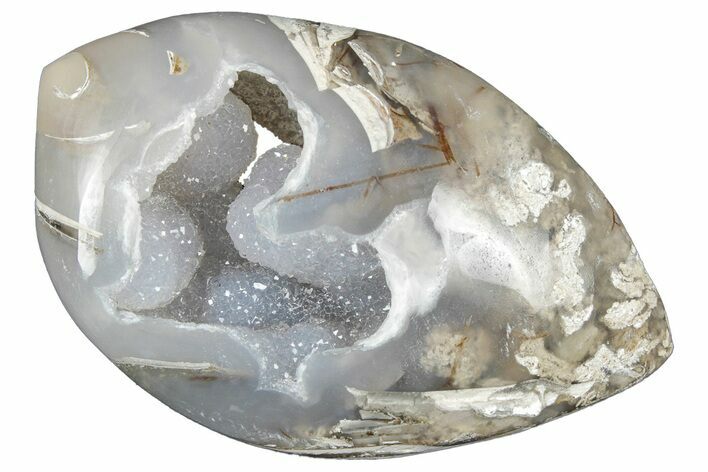Chalcedony Replaced Gastropod With Sparkly Quartz - India #320813